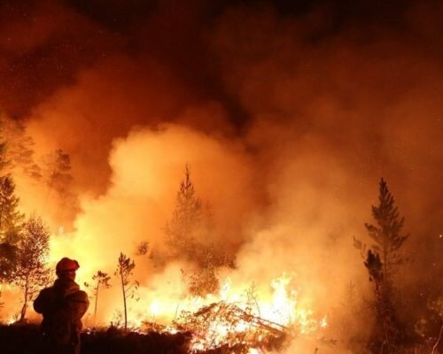 Не псуй повітря, яким дихаєш, або особливості нових штрафів